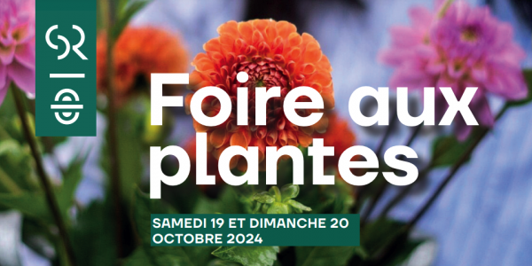 FOIRE AUX PLANTES A LA SALINE ROYALE ARC ET SENANS